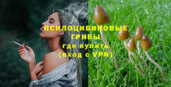 a pvp Алзамай