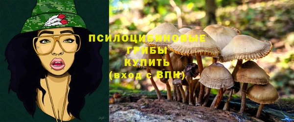 марки nbome Алексеевка