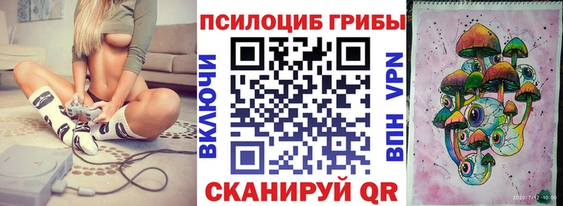 продажа наркотиков  Ступино  omg   Псилоцибиновые грибы Psilocybe 
